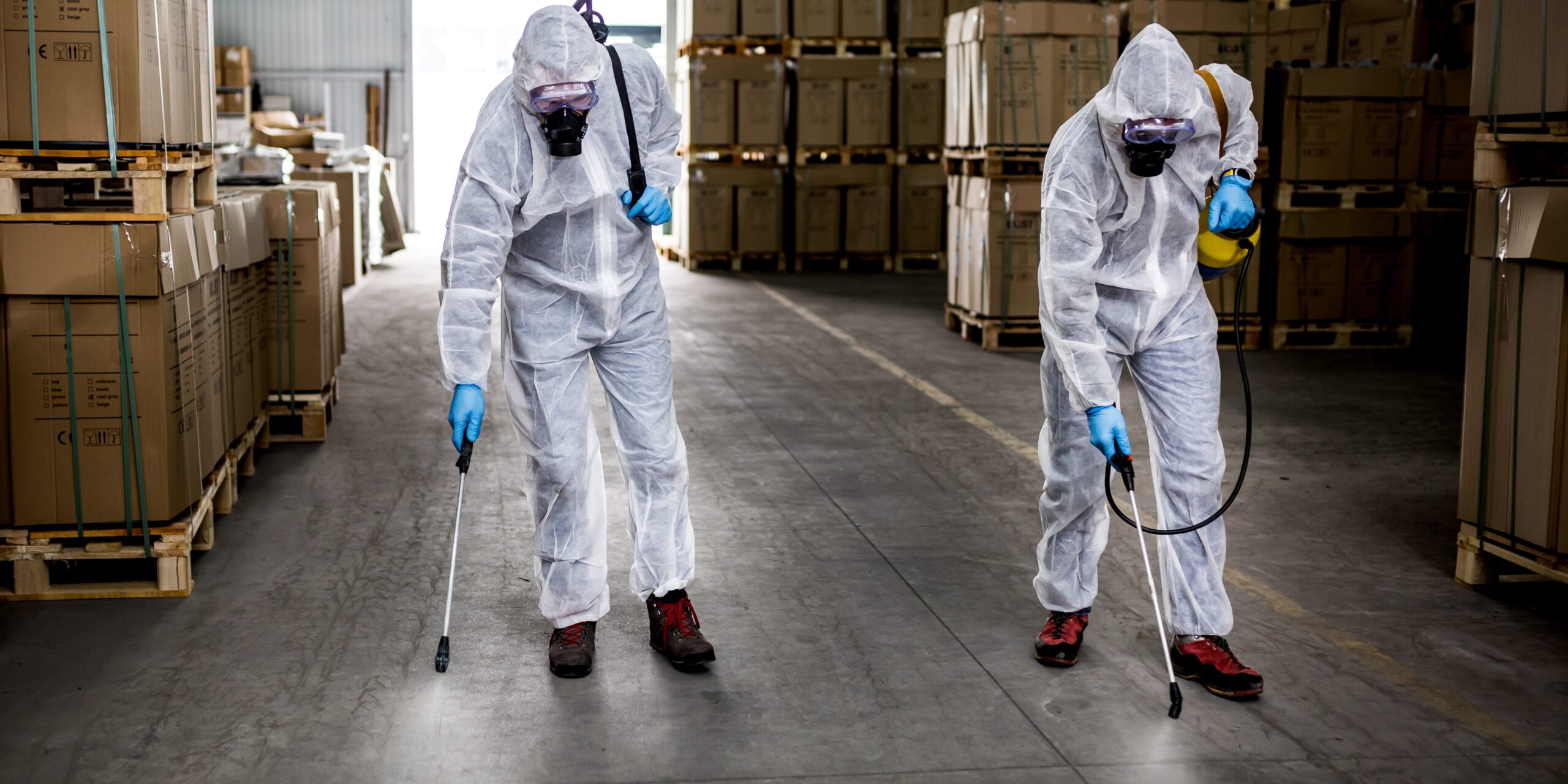 Pest control team covering Karachi areas